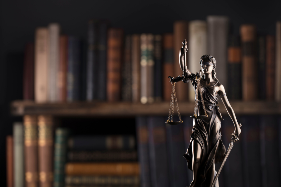 DIPLOMADO EN DERECHO ADMINISTRATIVO: GESTIÓN PÚBLICA, CONTROL Y TRANSPARENCIA EN EL ESTADO (VERSION 2)