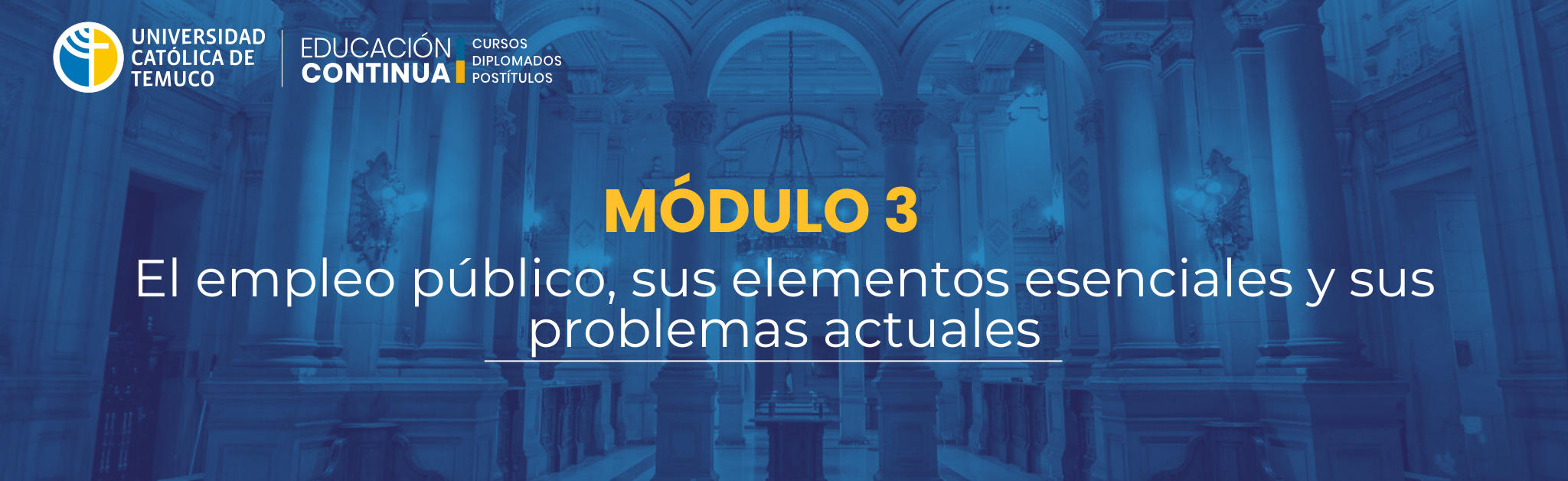 MÓDULO 3: EL EMPLEO PÚBLICO, SUS ELEMENTOS ESENCIALES Y SUS PROBLEMAS ACTUALES (DEC51541-2026_1)