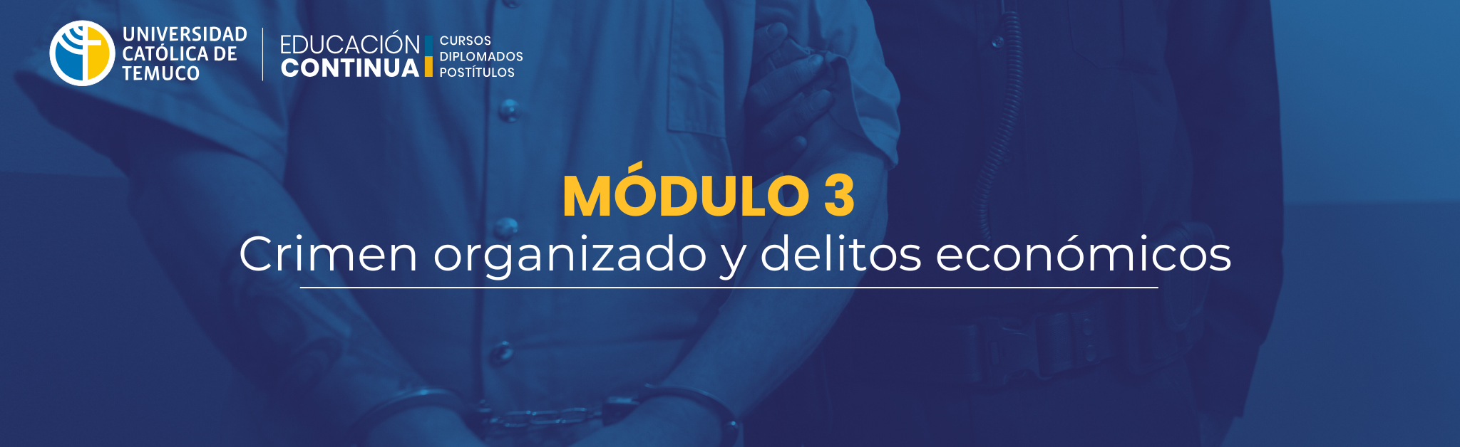 MÓDULO 3: CRIMEN ORGANIZADO Y DELITOS ECONÓMICOS (DEC51496-2026)