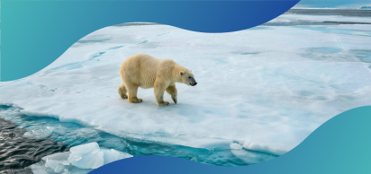 INTRODUCCIÓN A LA SUSTENTABILIDAD Y AL CAMBIO CLIMÁTICO:  COMPRENDIENDO LOS DESAFÍOS Y LAS SOLUCIONES