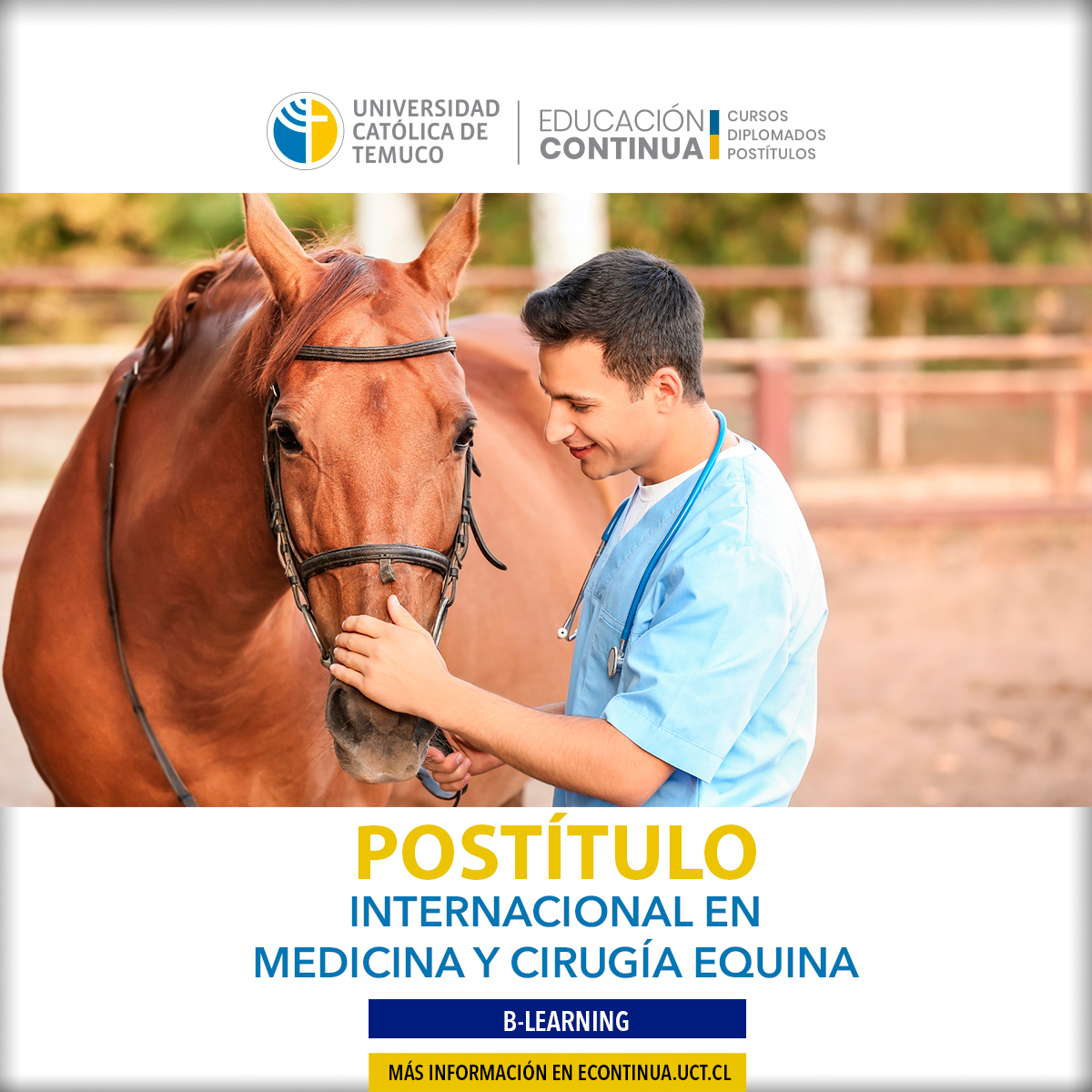 POSTÍTULO INTERNACIONAL EN MEDICINA Y CIRUGÍA EQUINA