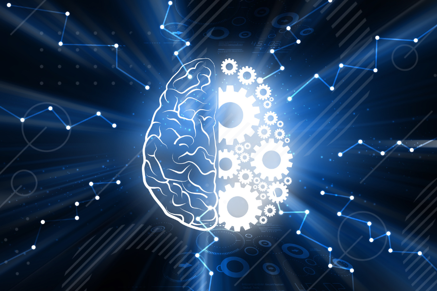 DIPLOMADO EN NEUROEDUCACIÓN PARA EL APRENDIZAJE (XI Versión)