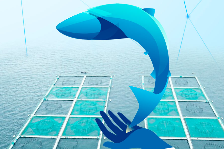 DIPLOMADO EN SALUD DE PECES: DE LA SALUD A LA PRODUCCIÓN (VERSIÓN II)