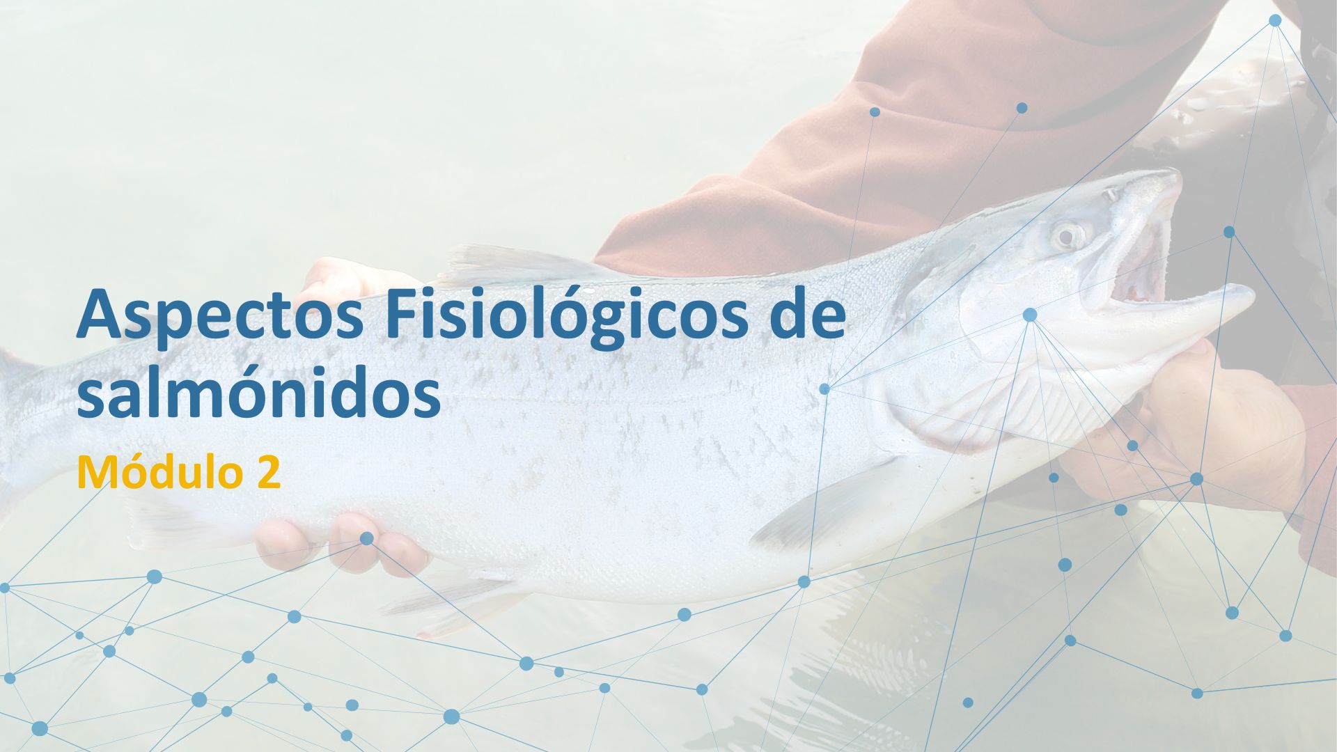 VET5168_2025_1_1 MÓDULO 2: ASPECTOS FISIOLÓGICOS EN SALMÓNIDOS