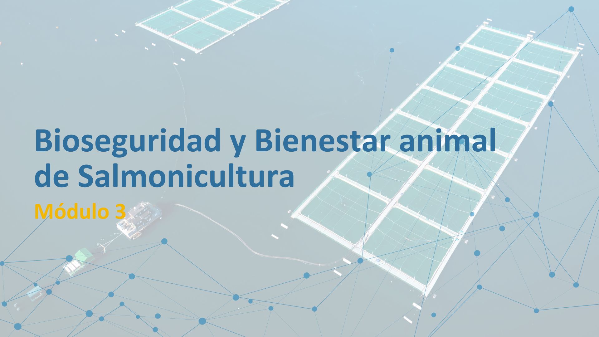 VET5169_2025_1_1 MÓDULO 3: BIOSEGURIDAD Y BIENESTAR ANIMAL EN SALMONICULTURA