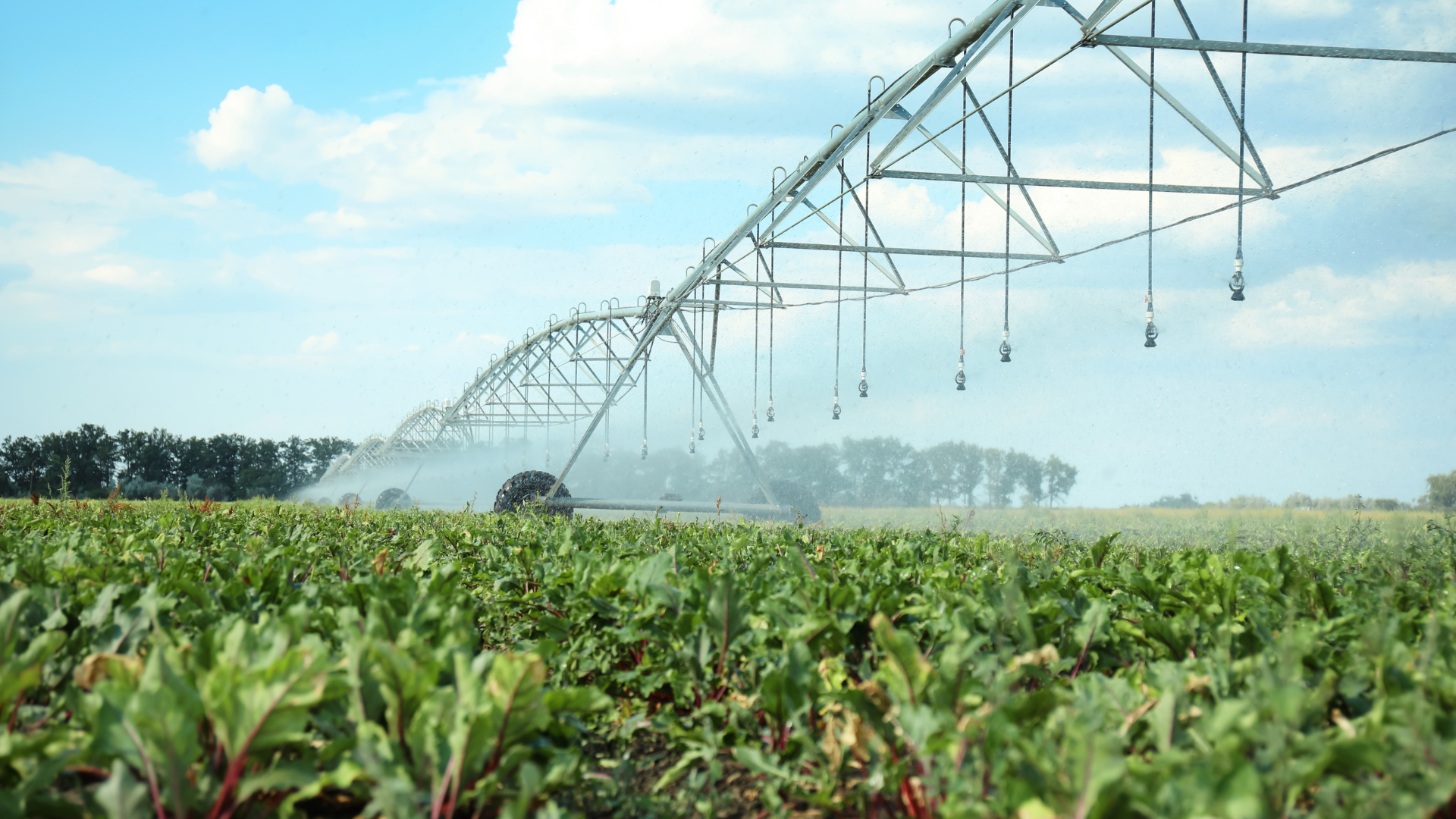 CURSO TÉCNICAS DE USO Y MANTENIMIENTO DE SISTEMAS DE RIEGO (DEC612-2025)